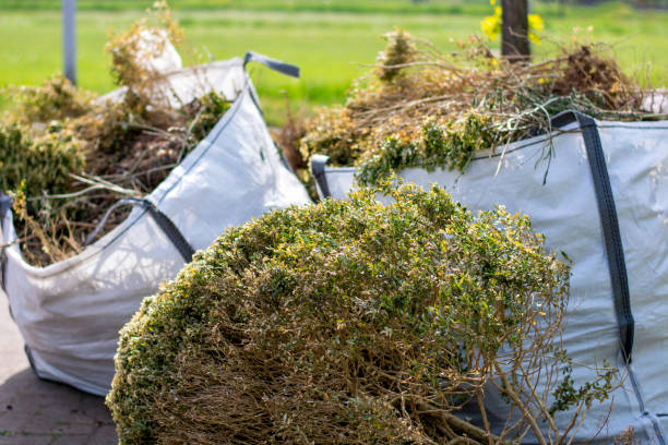 Best Shed Removal  in Ross, CA